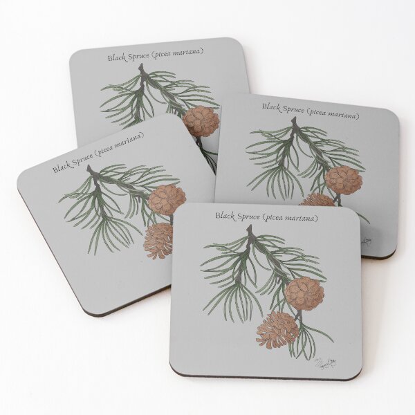 Item preview, Black Spruce (picea mariana) Vintage Nature Art designed and sold by Marguerite Artistry.