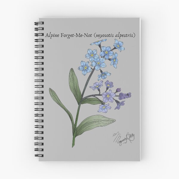 Item preview, Alpine Forget-Me-Not (myosotis alpestris) Vintage Nature Art designed and sold by Marguerite Artistry.