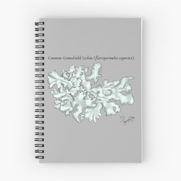 Item preview, Common Greenshield Lichen (flavoparmelia caperata) Vintage Nature Art designed and sold by Marguerite Artistry.