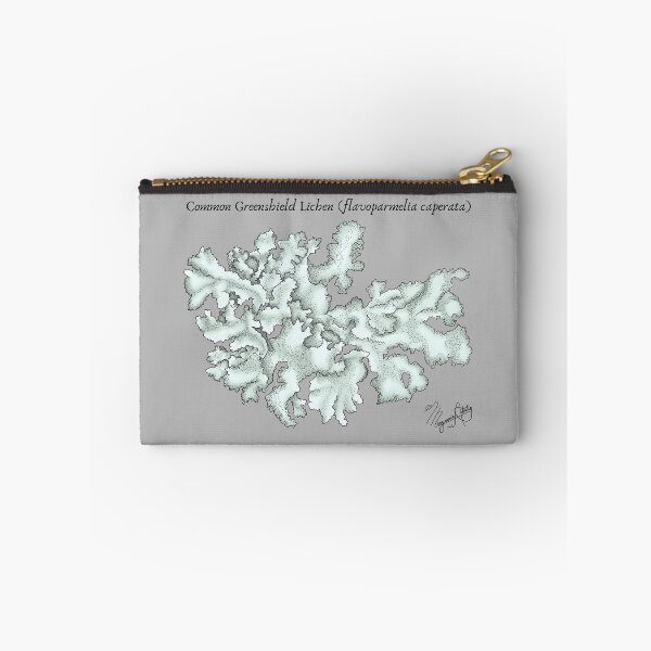 Item preview, Common Greenshield Lichen (flavoparmelia caperata) Vintage Nature Art designed and sold by Marguerite Artistry.