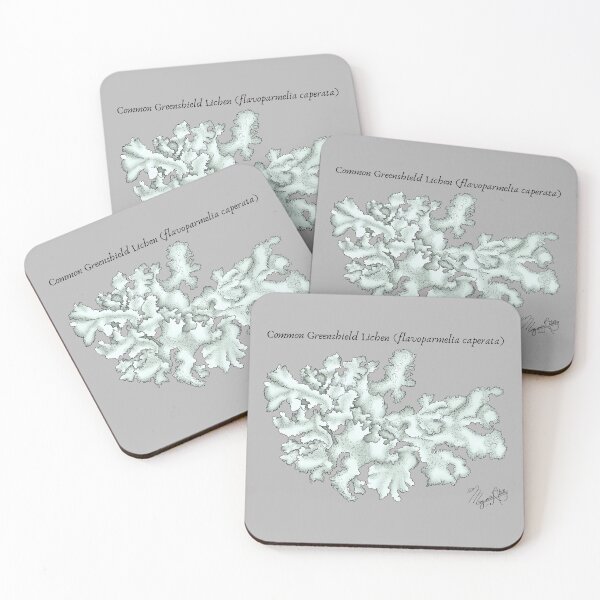 Item preview, Common Greenshield Lichen (flavoparmelia caperata) Vintage Nature Art designed and sold by Marguerite Artistry.