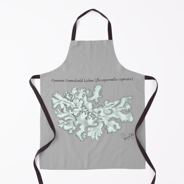 Item preview, Common Greenshield Lichen (flavoparmelia caperata) Vintage Nature Art designed and sold by Marguerite Artistry.