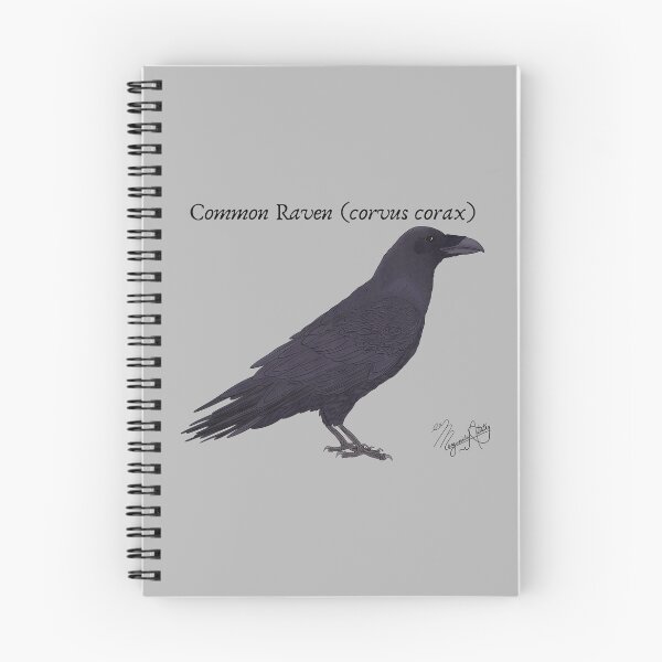 Item preview, Common Raven (corvus corax) Vintage Nature Art designed and sold by Marguerite Artistry.