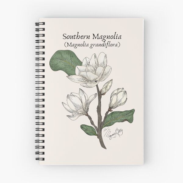 Item preview, Texas Native Plant- Southern Magnolia (magnolia grandiflora) Vintage Nature Art designed and sold by Marguerite Artistry.