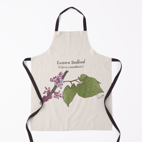 Artikelvorschau, Texas Native Plant - Eastern Redbud (Cercis canadensis) Vintage Naturkunst entworfen und verkauft von Marguerite Artistry.