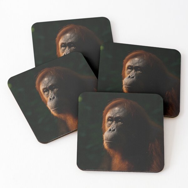 Item preview, Echoes of Humanity designed and sold by cryolith7454.