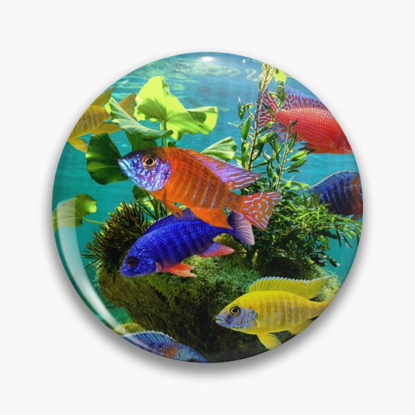 Item preview, African Cichlids Peacock Cichlid Aquarium Fish Tank Lovers Art  designed and sold by Aquarium Eclipse.