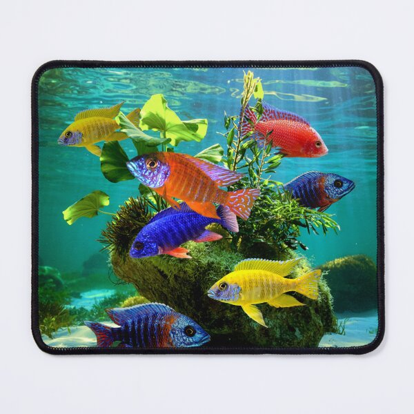 Item preview, African Cichlids Peacock Cichlid Aquarium Fish Tank Lovers Art designed and sold by Aquarium Eclipse.
