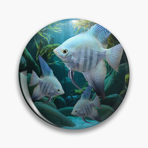 Item preview, Blue Angelfish Aquarium Fish Tank Breeders Art designed and sold by Aquarium Eclipse.