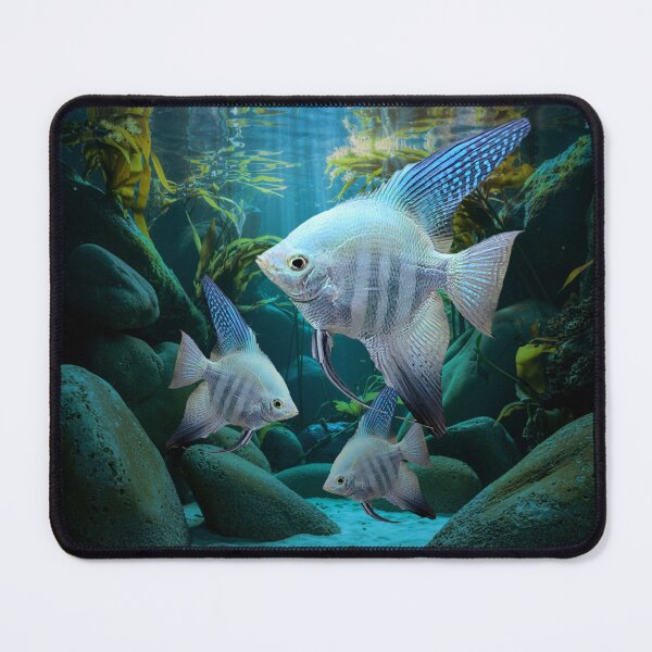 Item preview, Blue Angelfish Aquarium Fish Tank Breeders Art designed and sold by Aquarium Eclipse.