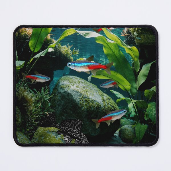 Item preview, Neon Tetras Plecostomus Pleco Aquarium Fish Tank Breeders Art designed and sold by Aquarium Eclipse.