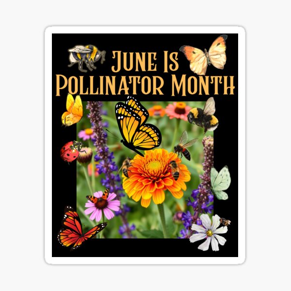 Item preview, June Is Pollinator Month Native Flowers Colorful Design designed and sold by EarthArtDesigns.