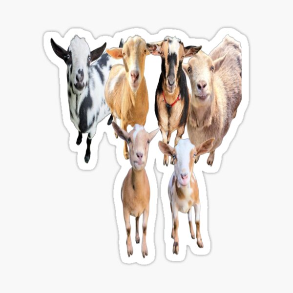 Item preview, Constantine Goats  designed and sold by snickles1977.