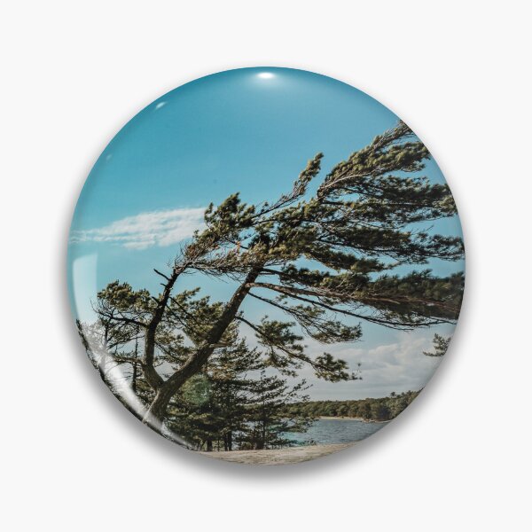 Item preview, The Iconic Killbear Tree designed and sold by GJTImageryCo.