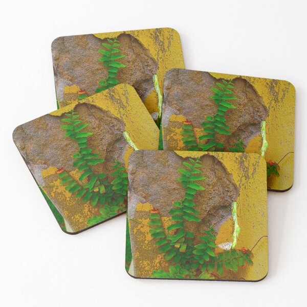 Item preview, From the Rock Fern RZ 5/25 designed and sold by Unlimited Imagination .