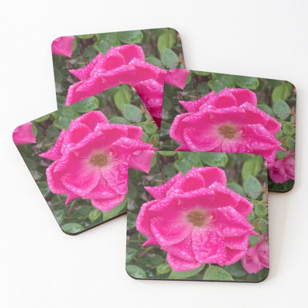 Item preview, Pink Rose in the Rain  designed and sold by Amanda1775.