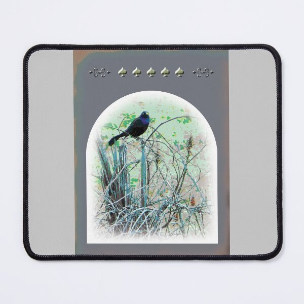 Item preview, The Confident Common grackle keeps an Eye on the Backyard designed and sold by cremedecolor.