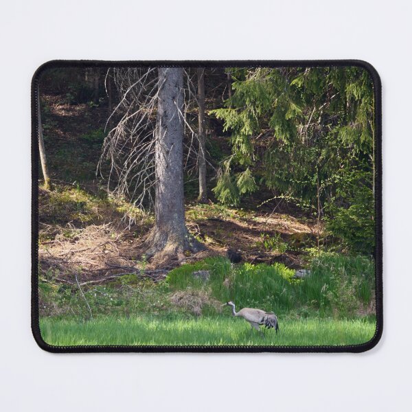 Item preview, Feeling so small. Eurasian crane designed and sold by Jouko Lehto Photography.