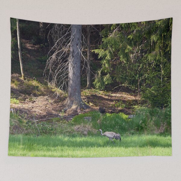Item preview, Feeling so small. Eurasian crane designed and sold by Jouko Lehto Photography.