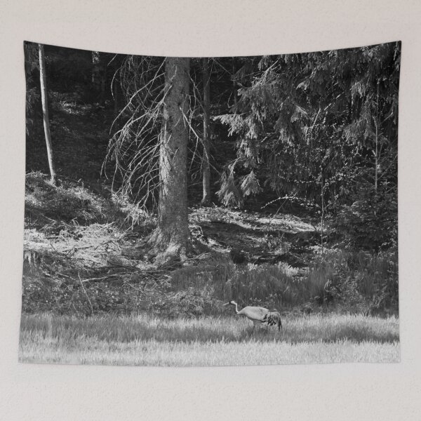 Item preview, Feeling so small. Eurasian crane bw designed and sold by Jouko Lehto Photography.