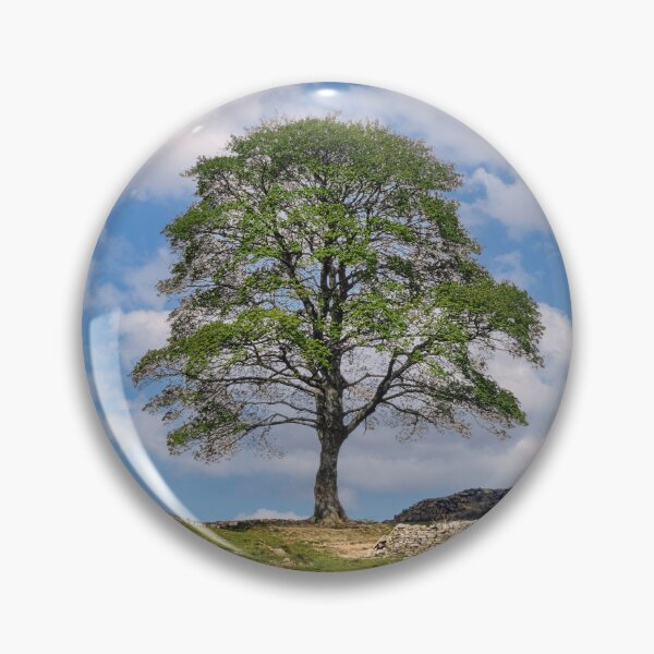 Item preview, The Sycamore Gap tree designed and sold by Tom McPherson Photography.