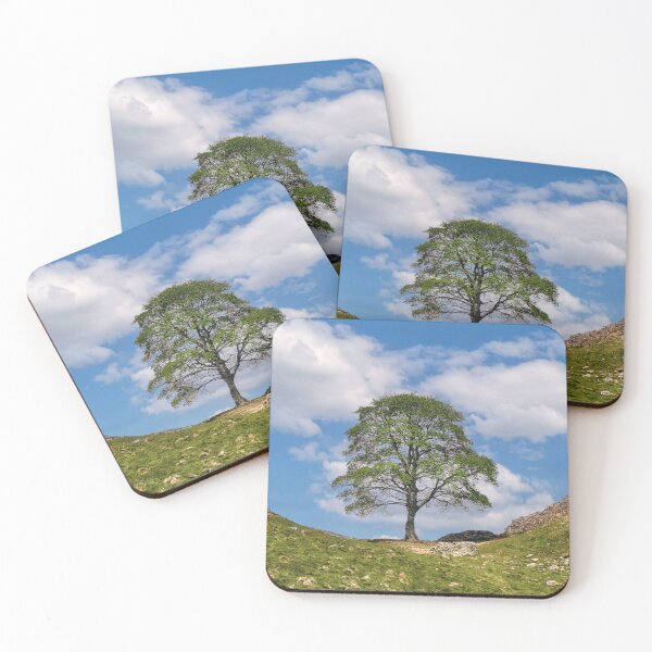 Item preview, The Sycamore Gap tree designed and sold by Tom McPherson Photography.