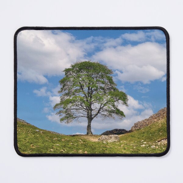 Item preview, The Sycamore Gap tree designed and sold by Tom McPherson Photography.
