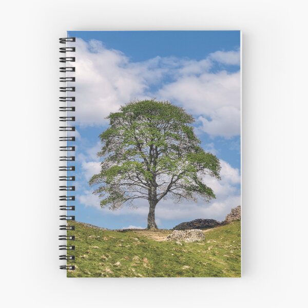 Item preview, The Sycamore Gap tree designed and sold by Tom McPherson Photography.