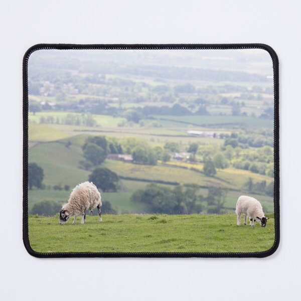 Item preview, Swaledale Sheep on the High Fell designed and sold by RedGrouse.