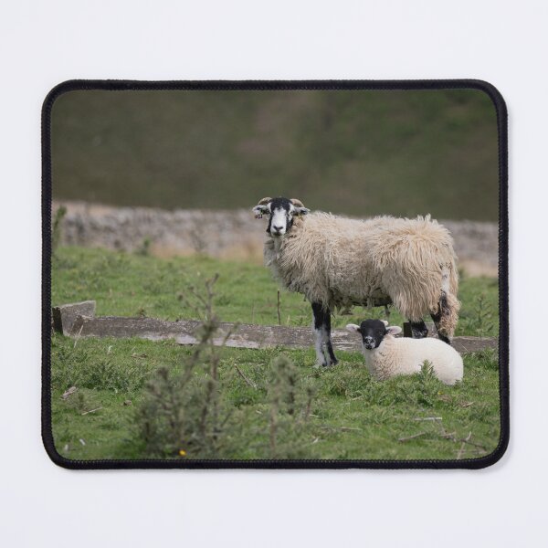 Item preview, Swaledale Ewe and Lamb on the Fells designed and sold by RedGrouse.