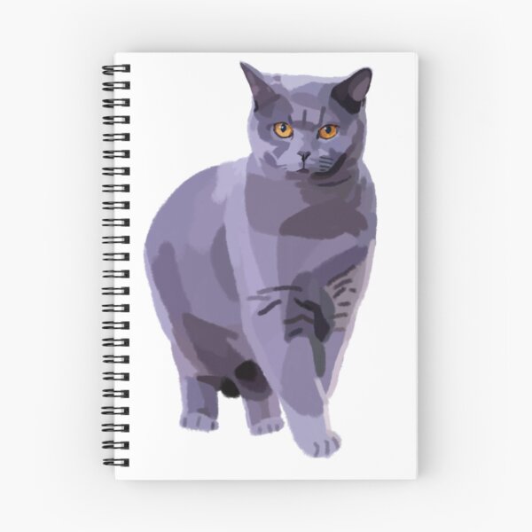 Item preview, Gray british shorthair cat designed and sold by LRM_ artz.