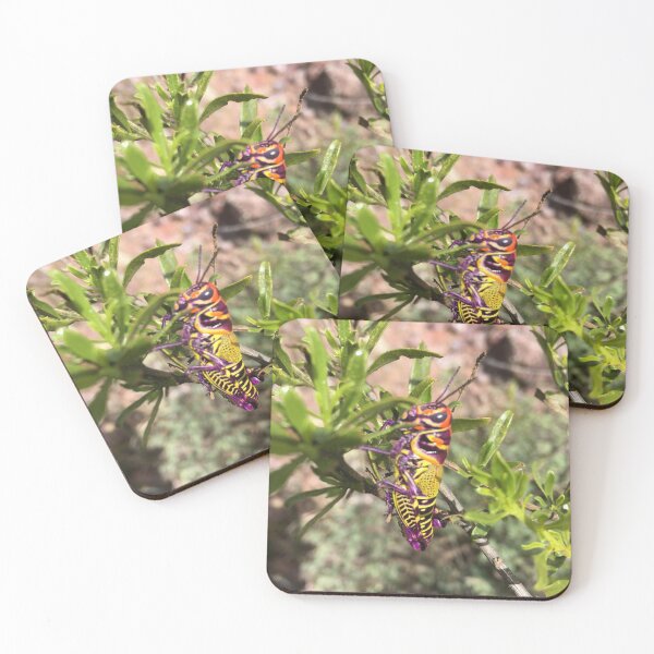 Item preview, Purple, yellow and orange cricket designed and sold by RDLT.
