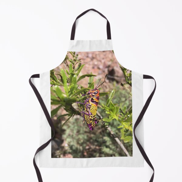 Item preview, Purple, yellow and orange cricket designed and sold by RDLT.