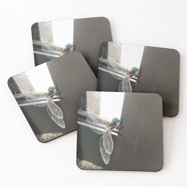 Item preview, Looking for a way out designed and sold by RDLT.