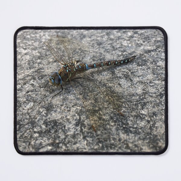 Item preview, Dragonfly resting on the ground designed and sold by RDLT.