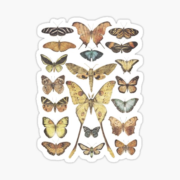 Item preview, Butterflies and Moths designed and sold by mikekoubou.