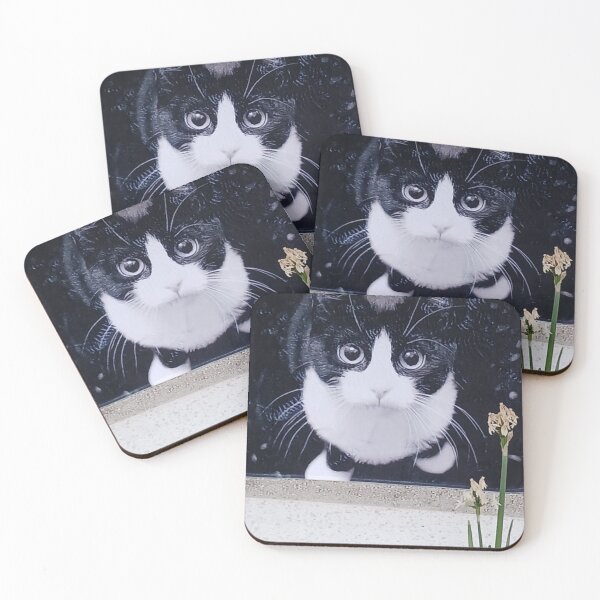 Item preview, Cat Staring designed and sold by Artwork333.