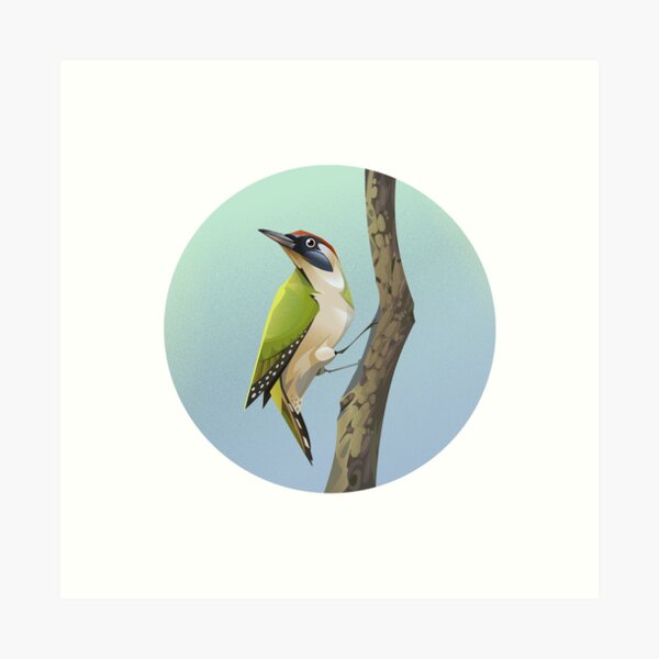 Item preview, European green woodpecker designed and sold by Aled Thompson Art.