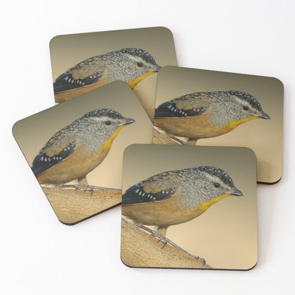 Item preview, Pardalote moteado macho designed and sold by Nick Vertsonis.