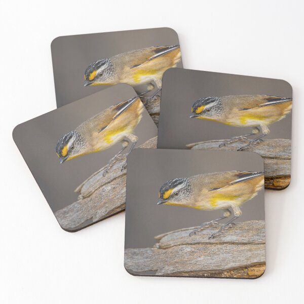 Item preview, Striated Pardalote designed and sold by Nick Vertsonis.