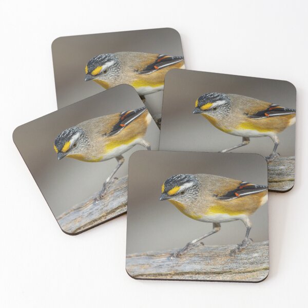 Item preview, Striated Pardalote designed and sold by Nick Vertsonis.