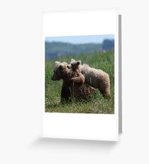 Alaska Grizzly Mother And A Cub In Katmai National Park #RedBubble Greeting Card