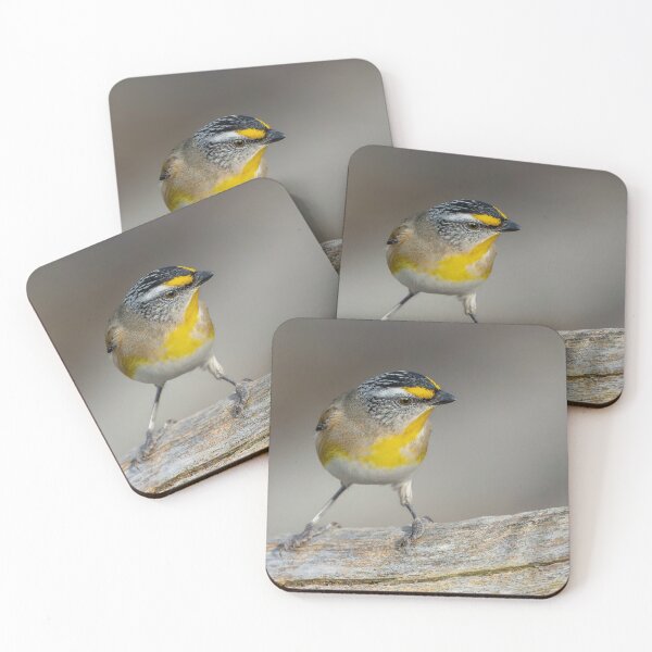 Item preview, Striated Pardalote designed and sold by Nick Vertsonis.