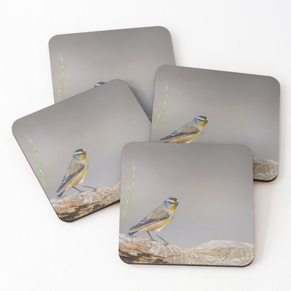 Item preview, Striated Pardalote designed and sold by Nick Vertsonis.