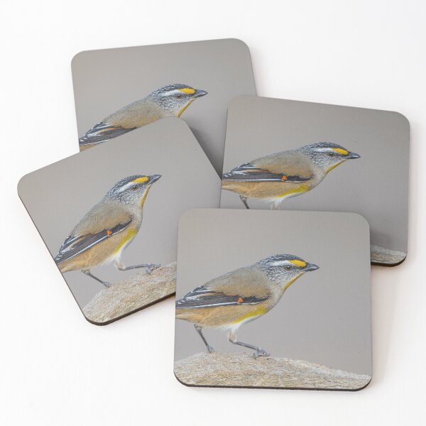 Item preview, Striated Pardalote designed and sold by Nick Vertsonis.