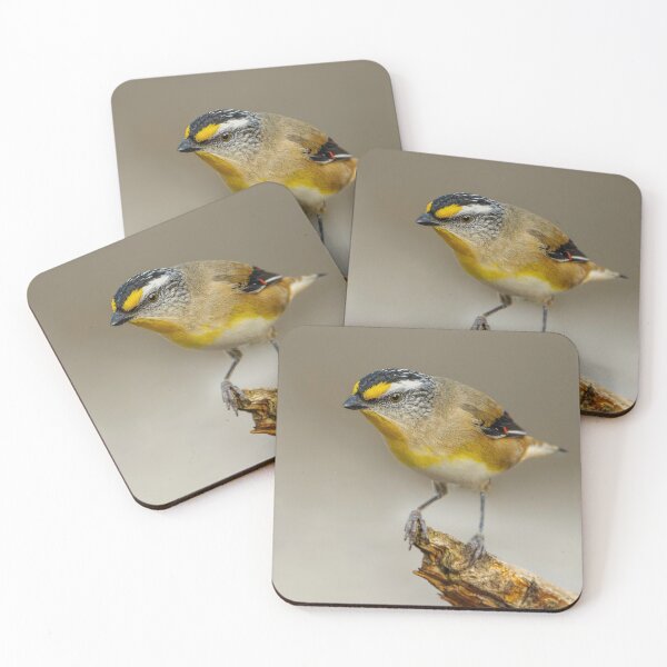 Item preview, Striated Pardalote designed and sold by Nick Vertsonis.