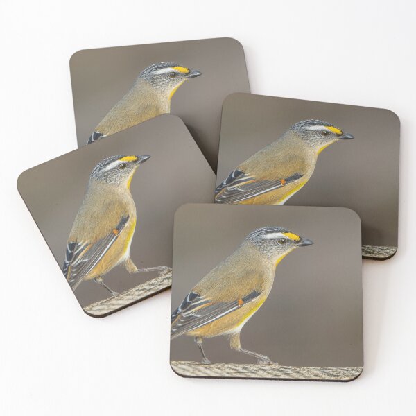 Item preview, Striated Pardalote designed and sold by Nick Vertsonis.