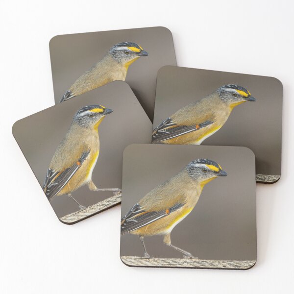 Item preview, Striated Pardalote designed and sold by Nick Vertsonis.