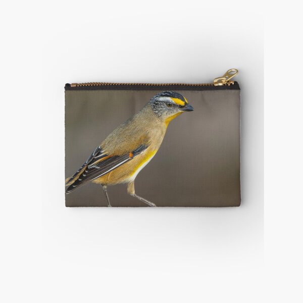 Item preview, Striated Pardalote designed and sold by Nick Vertsonis.