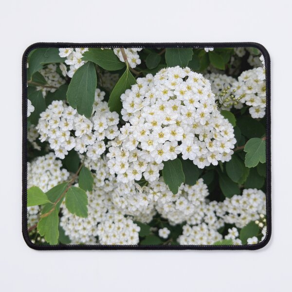 Item preview, A Vibrant Explosion of Life designed and sold by Lana Magnolia.